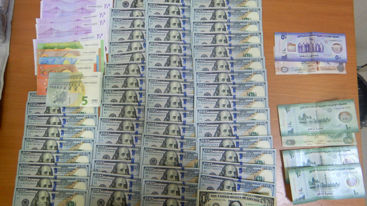 В аэропорту Толмачево спаниель Феокла нашла у пассажирки тысячи долларов и евро