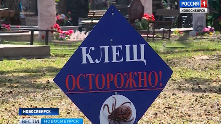 Обработку городских кладбищ от клещей проводят в Новосибирске