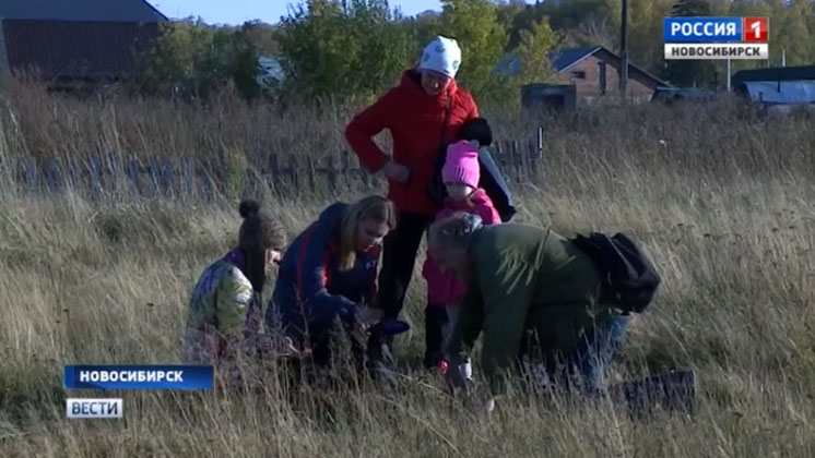 Краснокнижных обитателей нашли на месте стройки песчаного карьера в Новосибирске