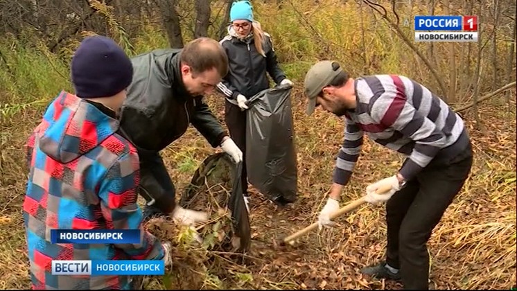 Новосибирск вышел на общегородской субботник