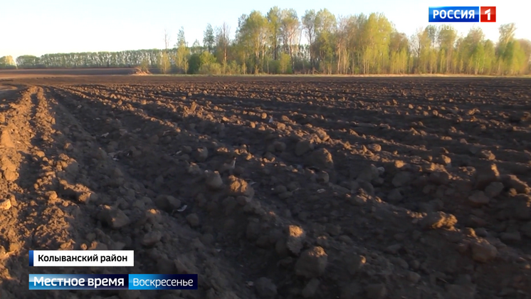 На полях Новосибирской области набирает обороты посевная кампания