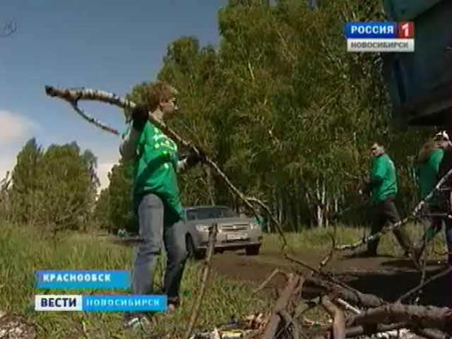 Жители Краснообска отвоевали берёзовый лес от застройки