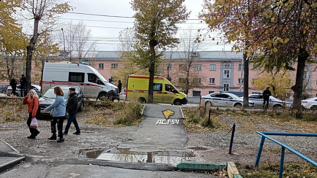В Новосибирске возбудили уголовное дело по факту смертельного наезда скорой на 7-летнюю девочку