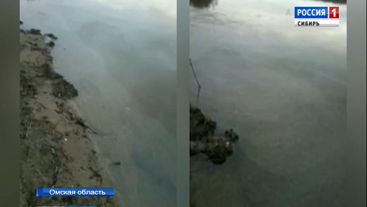 Происхождение нефтяных пятен на Иртыше расследуют в Омске