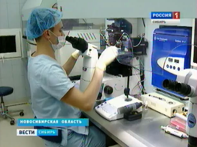 Сибирские врачи готовы помогать женщинам с репродуктивными проблемами