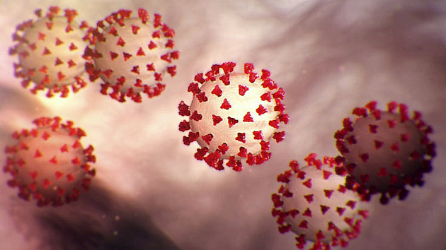 Ещё 160 новосибирцев заболели коронавирусом