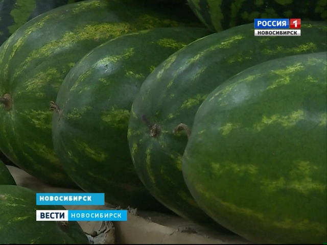Последняя волна арбузного урожая накрыла Новосибирск