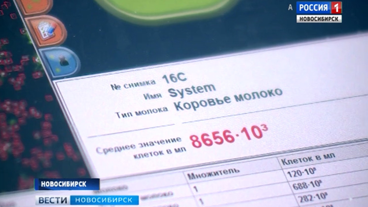 «Вести» узнали, как контролируют качество молока в Новосибирской области