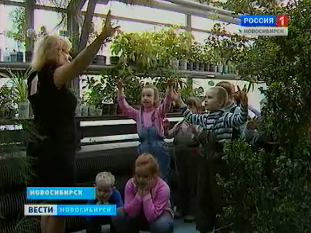 Новосибирских дошкольников начали знакомить с редкими тропическими растениями