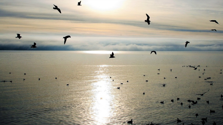 10bfeb4005d4883f23f615a91e180c9a.png