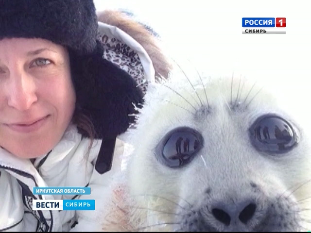 «Случайный снег» в Иркутском нерпинарии: туристы спасли жизнь будущему артисту