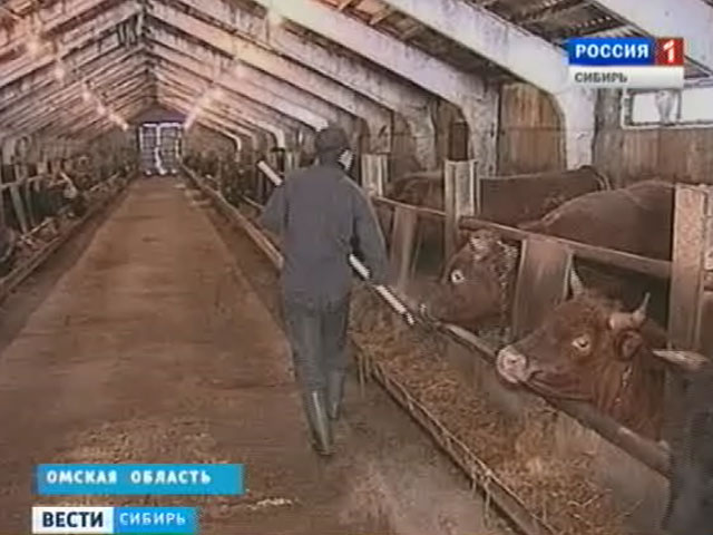 Сибирские крестьяне говорят о перспективах развития отрасли