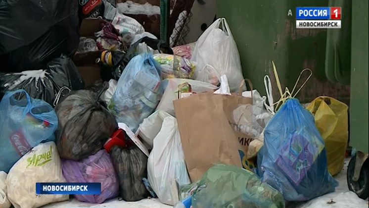 Сотни жалоб от новосибирцев получил за новогодние каникулы региональный оператор по вывозу отходов