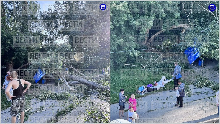 006zrj31zpmmzscafjrus8gojjwdj9gb.jpg