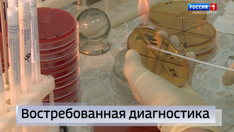 До тысячи проб в сутки: как работают ПЦР-лаборатории в Новосибирске