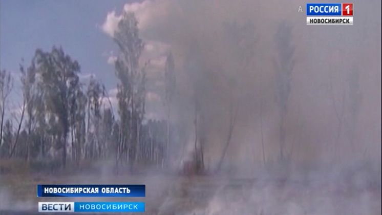Более 300 лесных пожаров зафиксировано на территории Новосибирской области