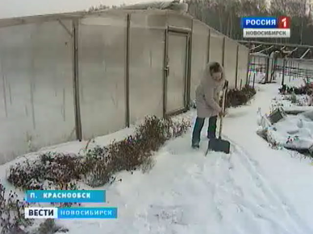 Непривычно теплая для Сибири зима принесла немало неприятностей спортсменам и агрономам