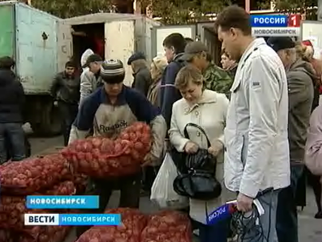 В Новосибирске начался сезон осенних продовольственных ярмарок