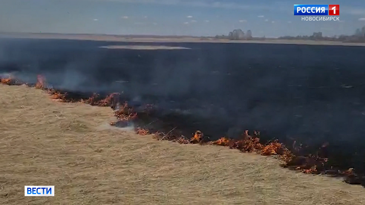 С начала тёплого сезона в Новосибирской области потушили больше 200 ландшафтных пожаров