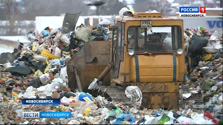 Депутаты Госдумы проверят исполнение «мусорной» реформы в Новосибирске
