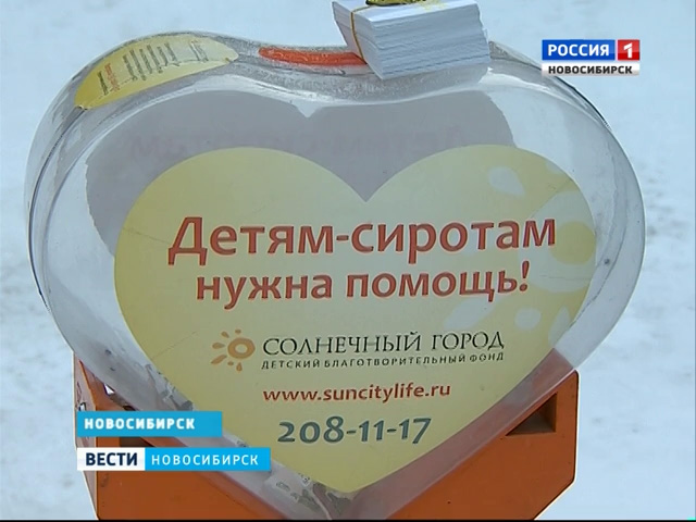 В Новосибирске подводят итоги благотворительной акции «Солнечный лед»