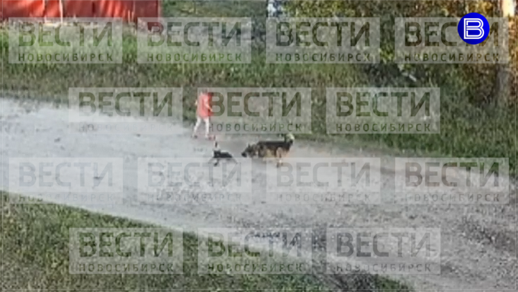 pst0dww551ekehe9dw3b230okr128n0h.png