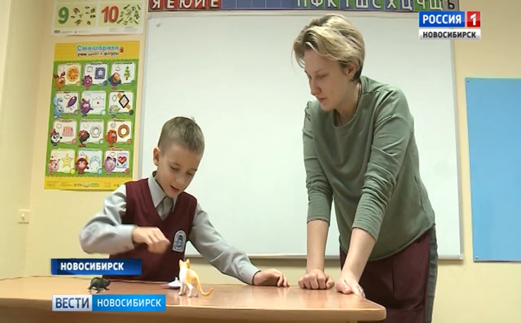 В новосибирской гимназии впервые в области открыли классы для детей с аутизмом