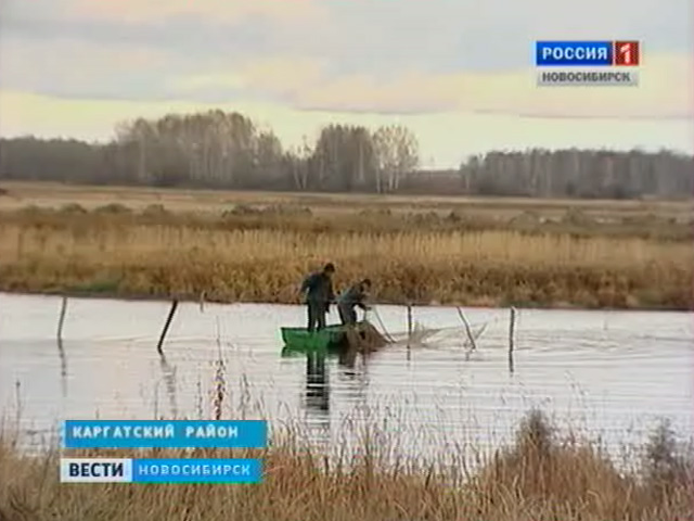 Каргатский район, прогноз клёва. Узнайте, куда ехать на рыбалку. Каргатский район, прогноз клёва. Узнайте, куда ехать на рыбалку.