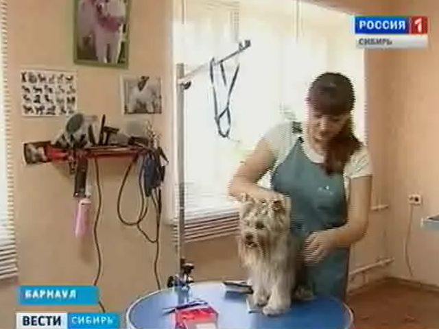 В Барнауле открыли первый в крае салон красоты для животных