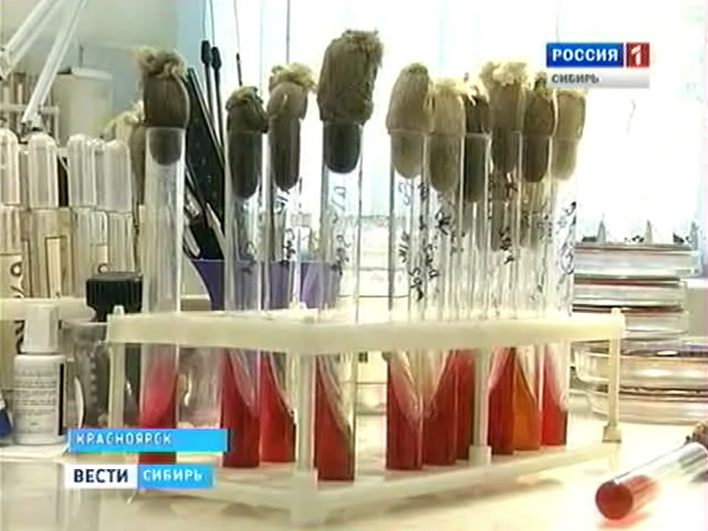 В Красноярске проводят экстренную вакцинацию от кори