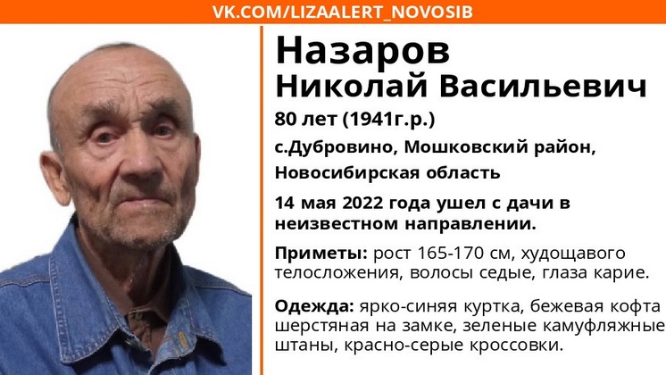 В Новосибирской области 80-летний дедушка ушёл с дачи и пропал