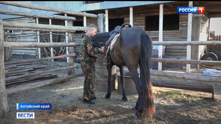 Алтайский школьник купил себе лошадь и открыл свой бизнес