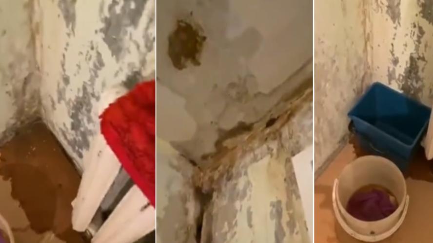 «Течёт рекой»: новосибирцы массово жалуются на воду с потолка в квартирах