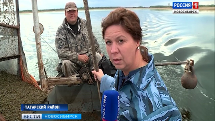 На водоемах Новосибирской области началась добыча рачка гаммаруса