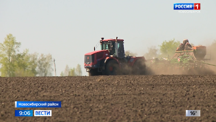 Новосибирские аграрии засеяли зерном и овощами уже более трети площадей