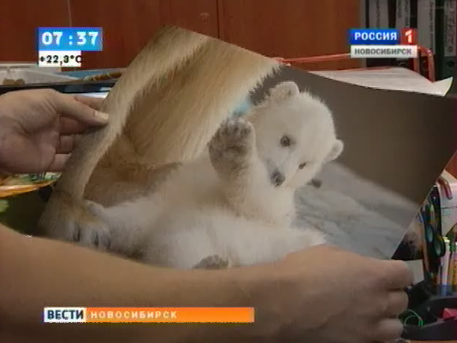 Новосибирский зоопарк объявил о начале ежегодного фотоконкурса
