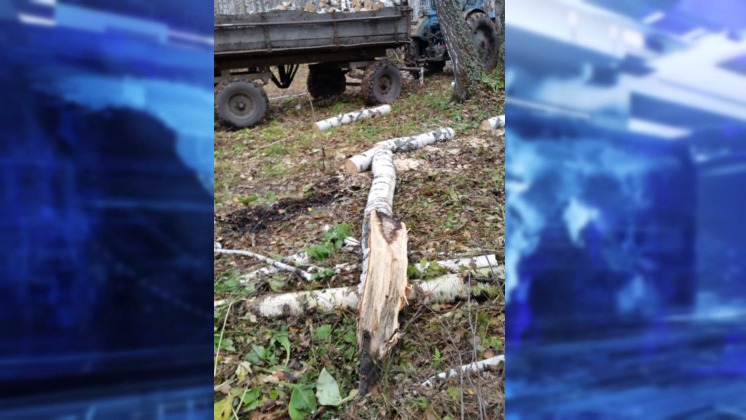 69-летний новосибирец трактором уронил на односельчанина березу и убил его