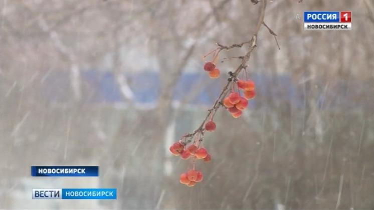Синоптики пообещали новосибирцам теплую новогоднюю ночь