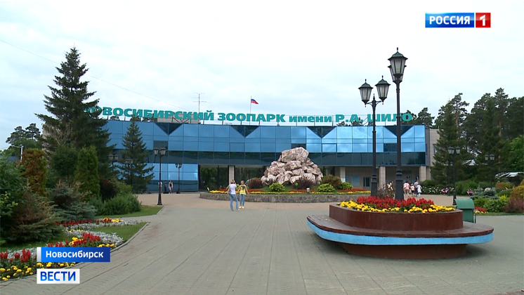 Непродовольственные магазины, зоопарк и музеи возобновляют работу в Новосибирске