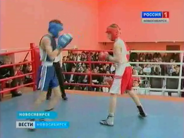 В Новосибирске завершилось первенство области по боксу среди молодежи
