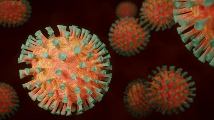 Ещё тринадцать человек скончались от коронавируса в Новосибирске и области