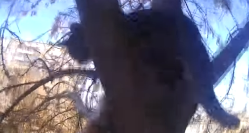 42108a916d162c0bcb314b27c7e7cb16.png