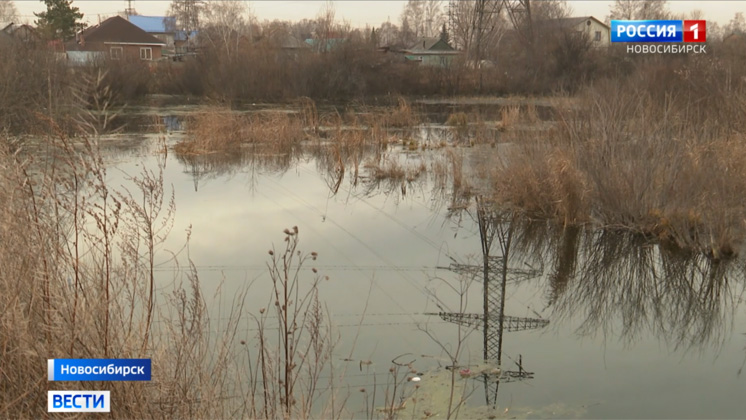 Зону отдыха с озером создадут на месте болота Кучино в Новосибирске