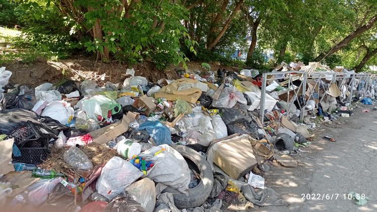 В Новосибирске огромная свалка мусора отравляет жизнь детскому саду и жителям домов 