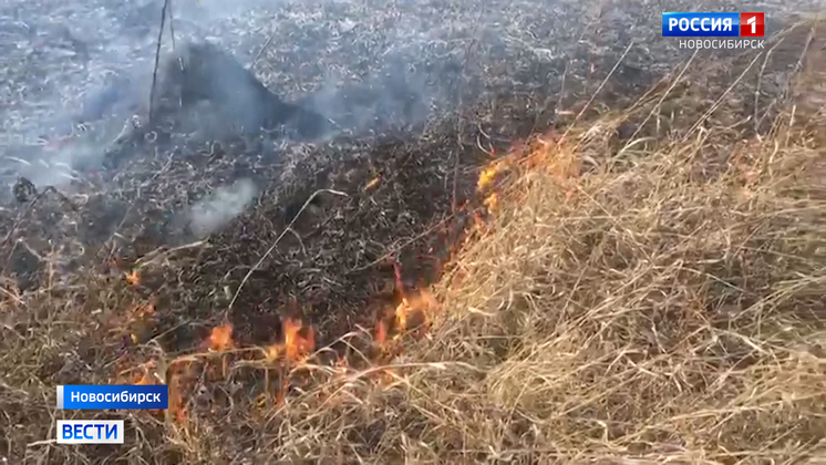 Количество пожаров в Новосибирской области увеличилось в шесть раз за неделю