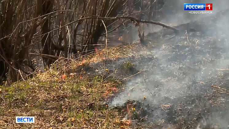Андрей Травников призвал все службы усиленно готовиться к сезону лесных пожаров