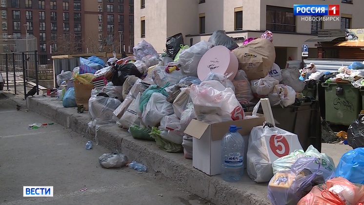 В Новосибирске стабилизировалась ситуация с вывозом мусора