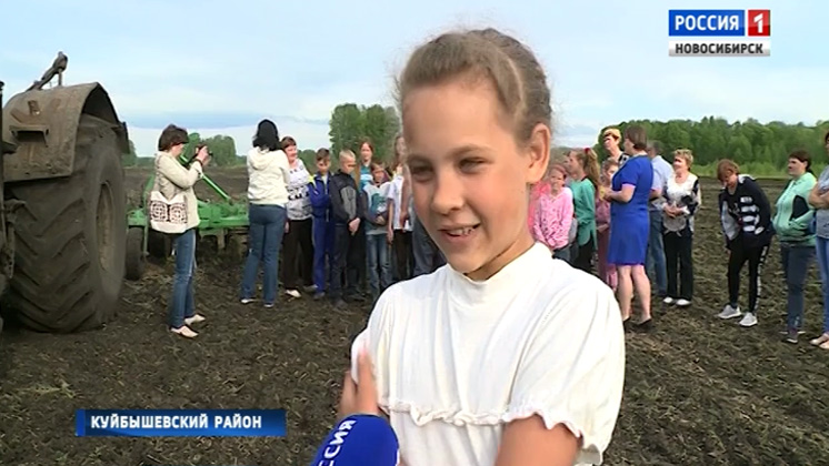 Новые аграрные классы создают в школах Куйбышевского района