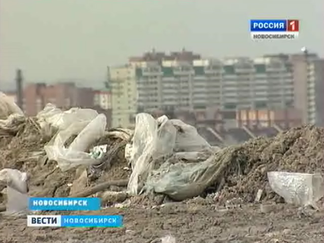 Новосибирские свалки будут контролировать с помощью веб-камер