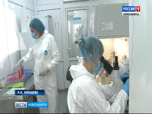 Новосибирские ученые готовы закрыть потребности страны в вакцине гепатита «А»